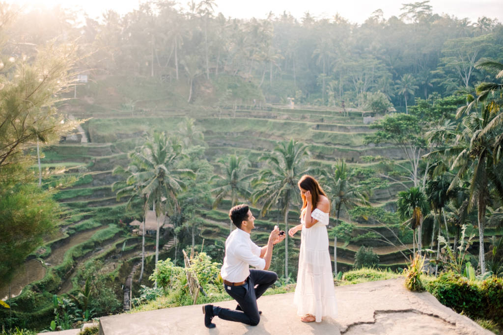 bali proposal rice field
