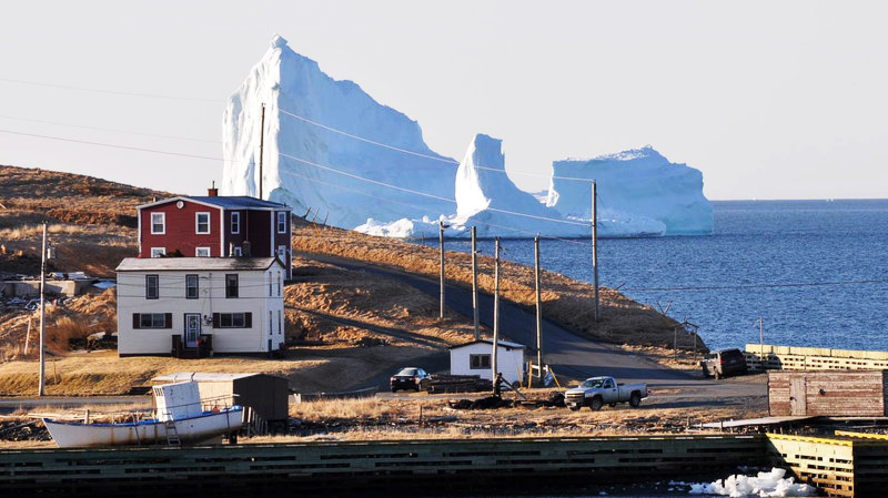 iceberg alley newfoundland