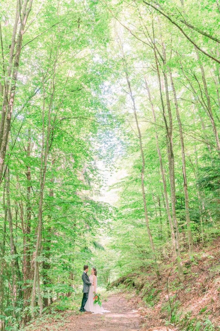 Wedding photoshooting deep in the forest